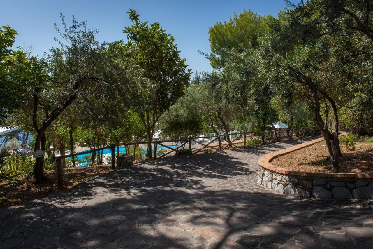 Hotel Villa Delle Meraviglie Maratea Zewnętrze zdjęcie